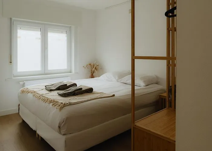 Appartement Modern And Elegant 30m To The *